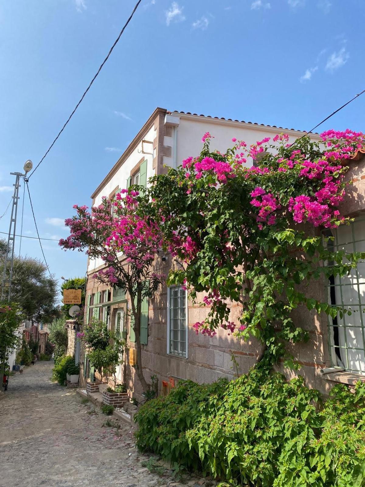 Cunda Ilios Hotel Ayvalik Luaran gambar